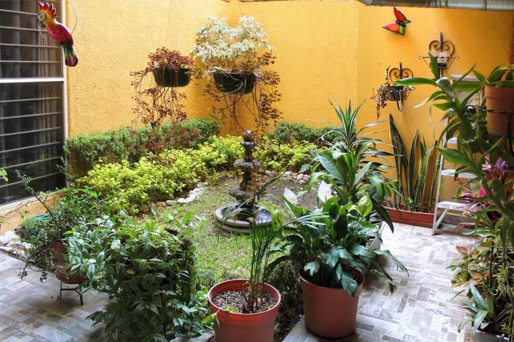 Texcoco de Mora Colorida Casa Azul En Texcoco Centro Wifi Cocinaヴィラ エクステリア 写真
